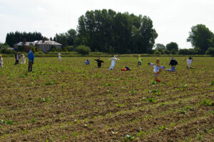 Oving Scarecrow Day Image Gallery 2008