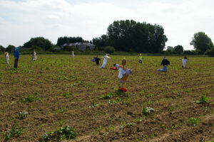 Oving Scarecrow Day Image Gallery 2008: Scarecrows in field