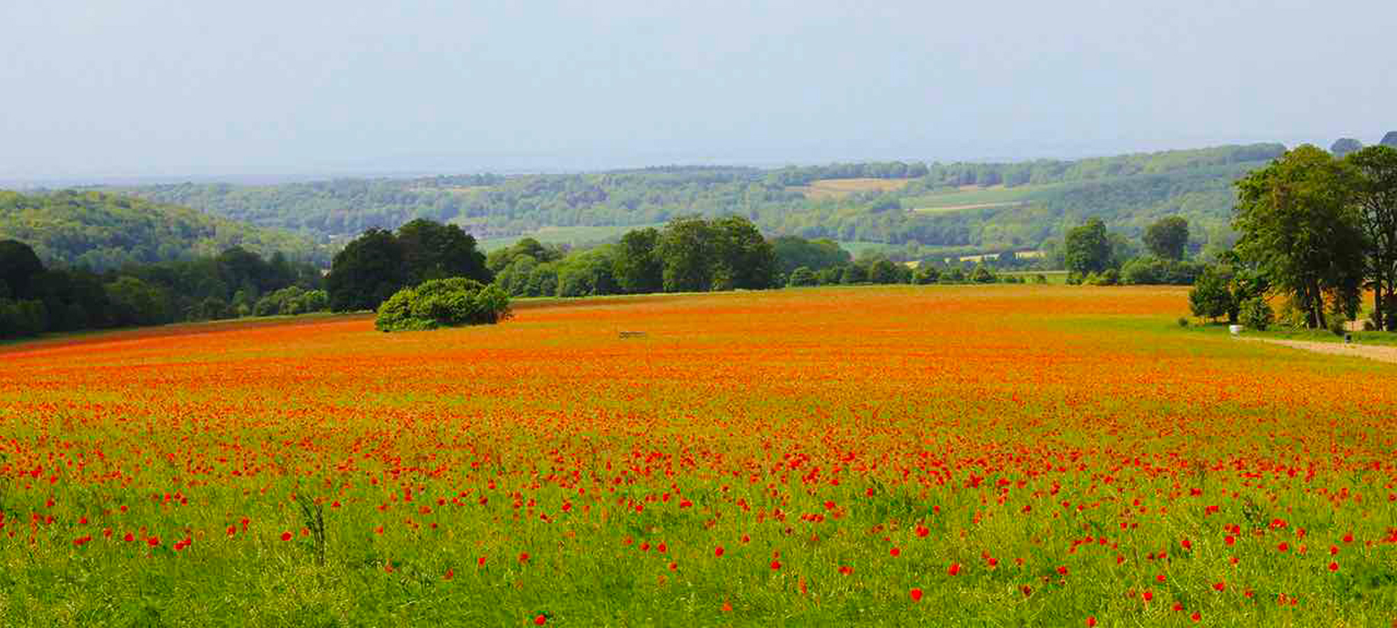 Welcome to Oving