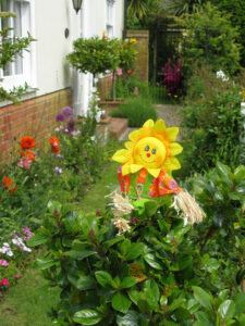 Oving Scarecrow Day Image Gallery 2014 sunflower