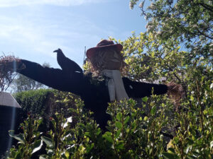 Oving Scarecrow Day Image Gallery 2022 Scarecrow
