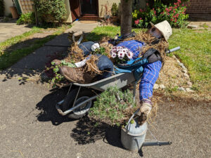 Oving Scarecrow Day 2022 gardener
